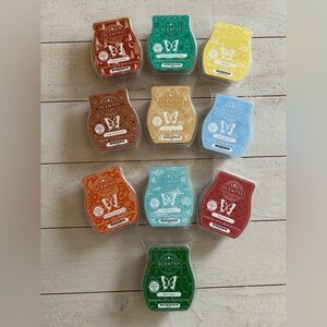 Bundle of 10 New Scentsy Bars